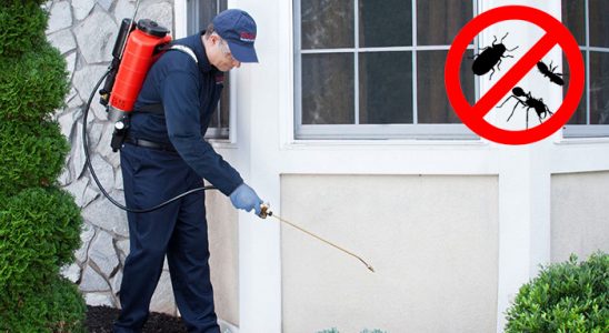 Kağıthane Dezenfeksiyon böcek ilaçlama ve haşere kontrolü — ilaclama-tr.com